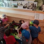 phoca_thumb_m_ic  55 Fotogalerie